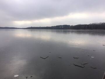 Фото номера Дом с 2 спальнями Дома для отпуска Baublys Lake Lodge г. Viktarinas 39